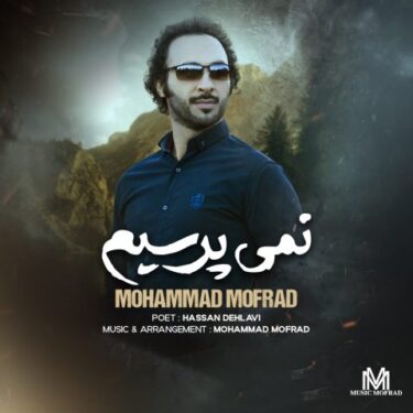 دانلود آهنگ جدید محمد مفرد نمی پرسیم